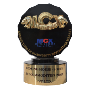 Best Broking House - South
